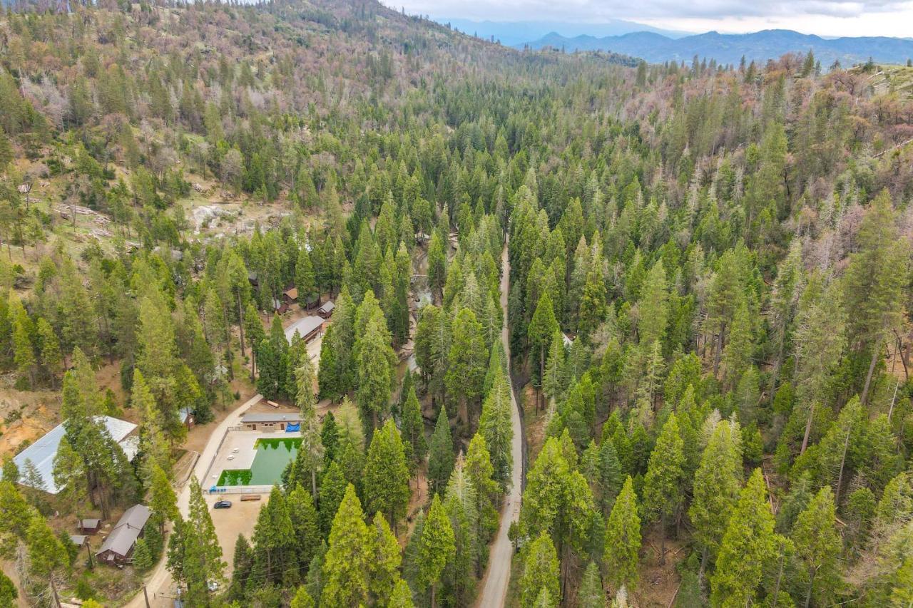Enchanting Creekside Cabin Near Kings Canyon Park! Badger Экстерьер фото